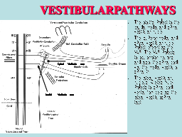 Slide 29