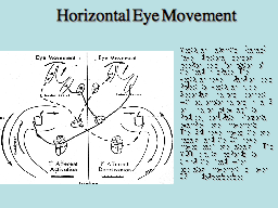 Horizontal Eye Movement 