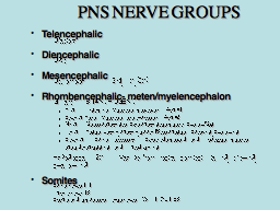 PNS NERVE GROUPS