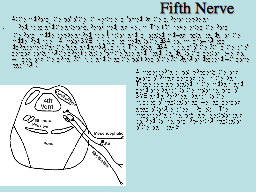 Fifth Nerve