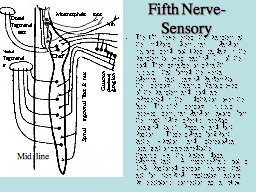 Fifth Nerve- Sensory