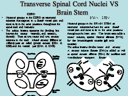 Transverse Spinal Cord Nuclei VS     Brainstem