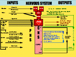 PowerPoint Presentation