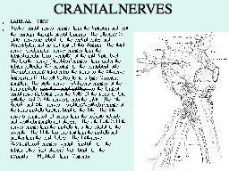 CRANIAL NERVES 