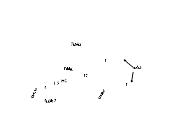 Geniculate Bodies Posterior Commissure