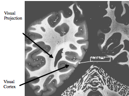 Slide 16