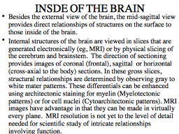 INSDE OF THE BRAIN