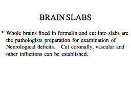 BRAIN SLABS