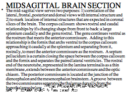 MIDSAGITTAL  BRAIN SECTION